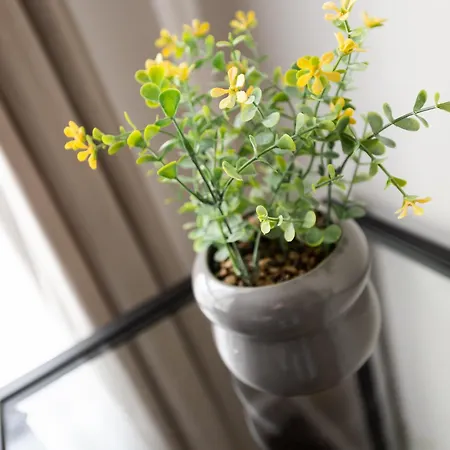 Okecie Apartment *
